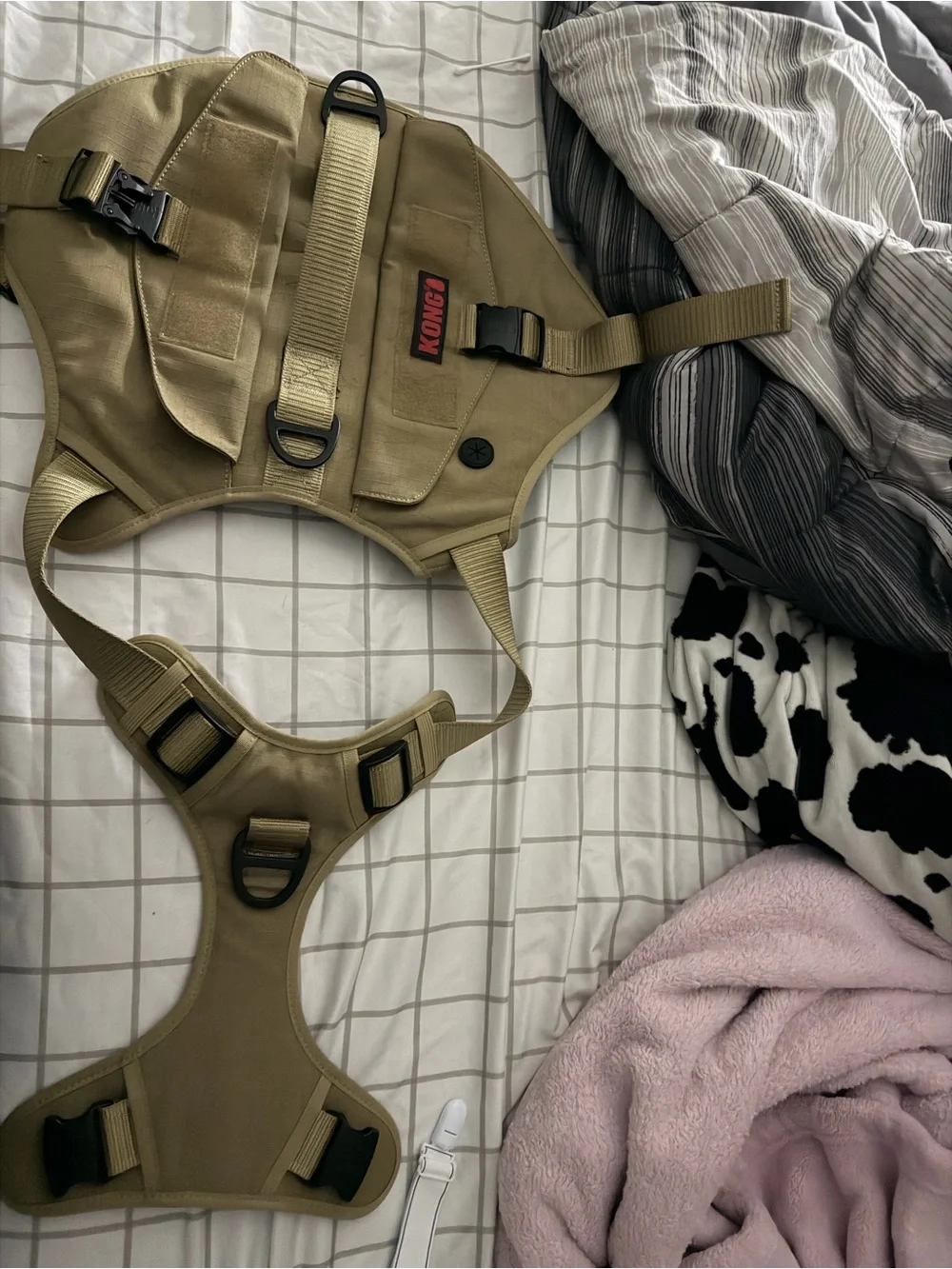 Kong compact tactical